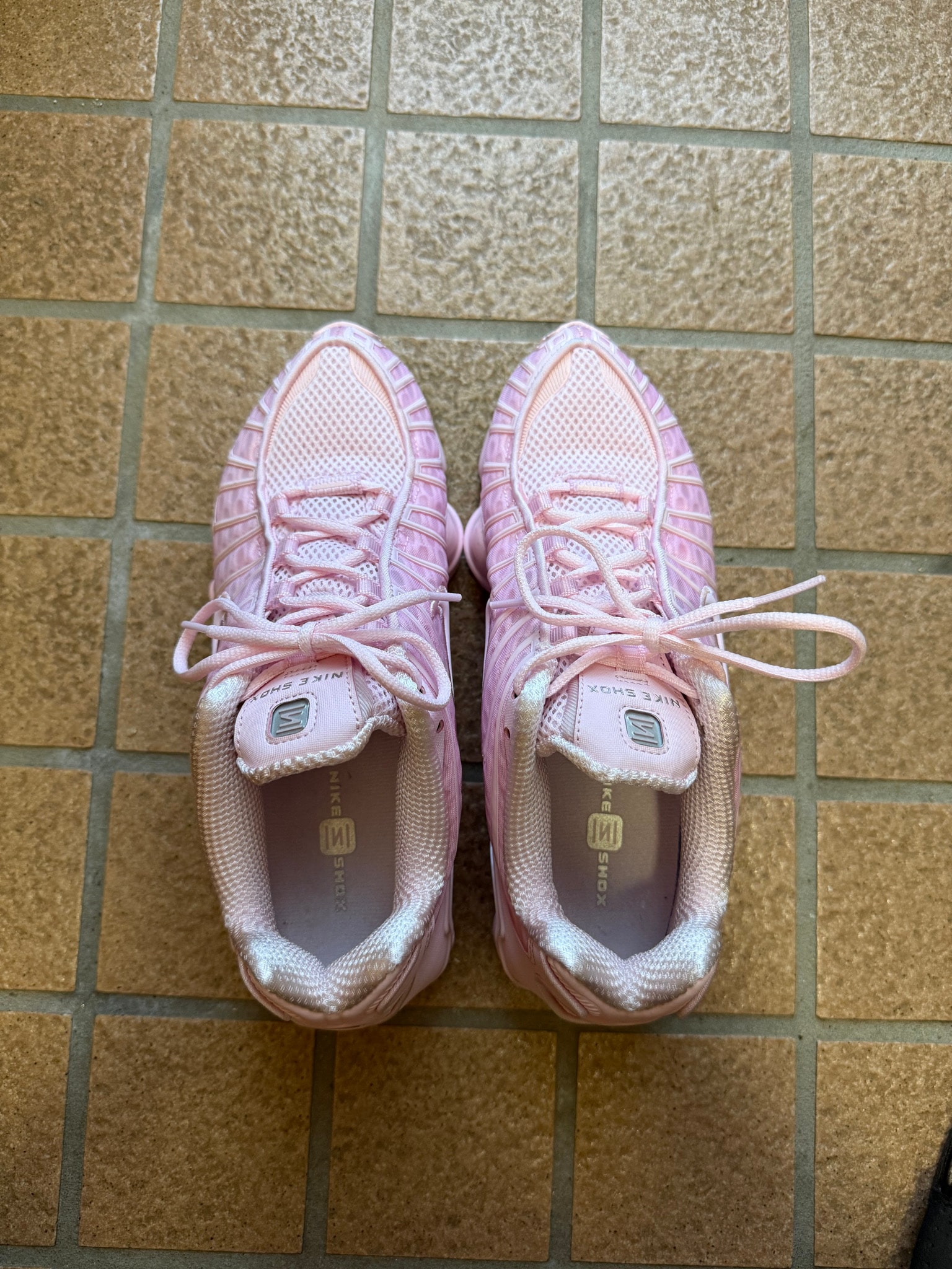 Nike Women's Shox TL "Pink Foam/Metallic Silver"