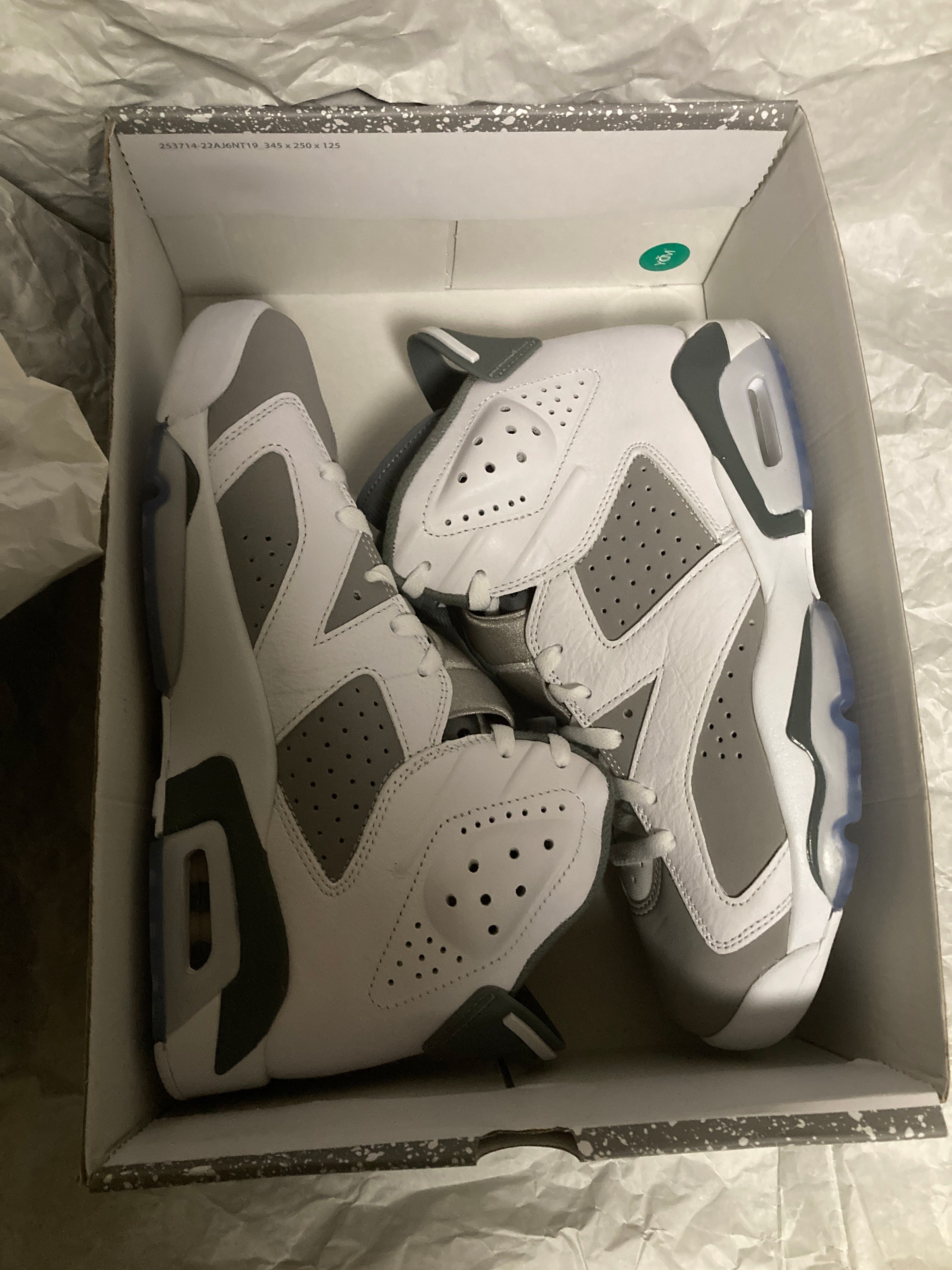 Nike  Air Jordan 6 "Cool Grey"