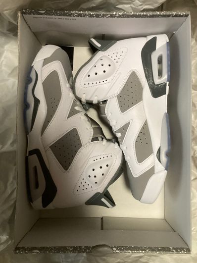 Nike Air Jordan 6 "Cool Grey"