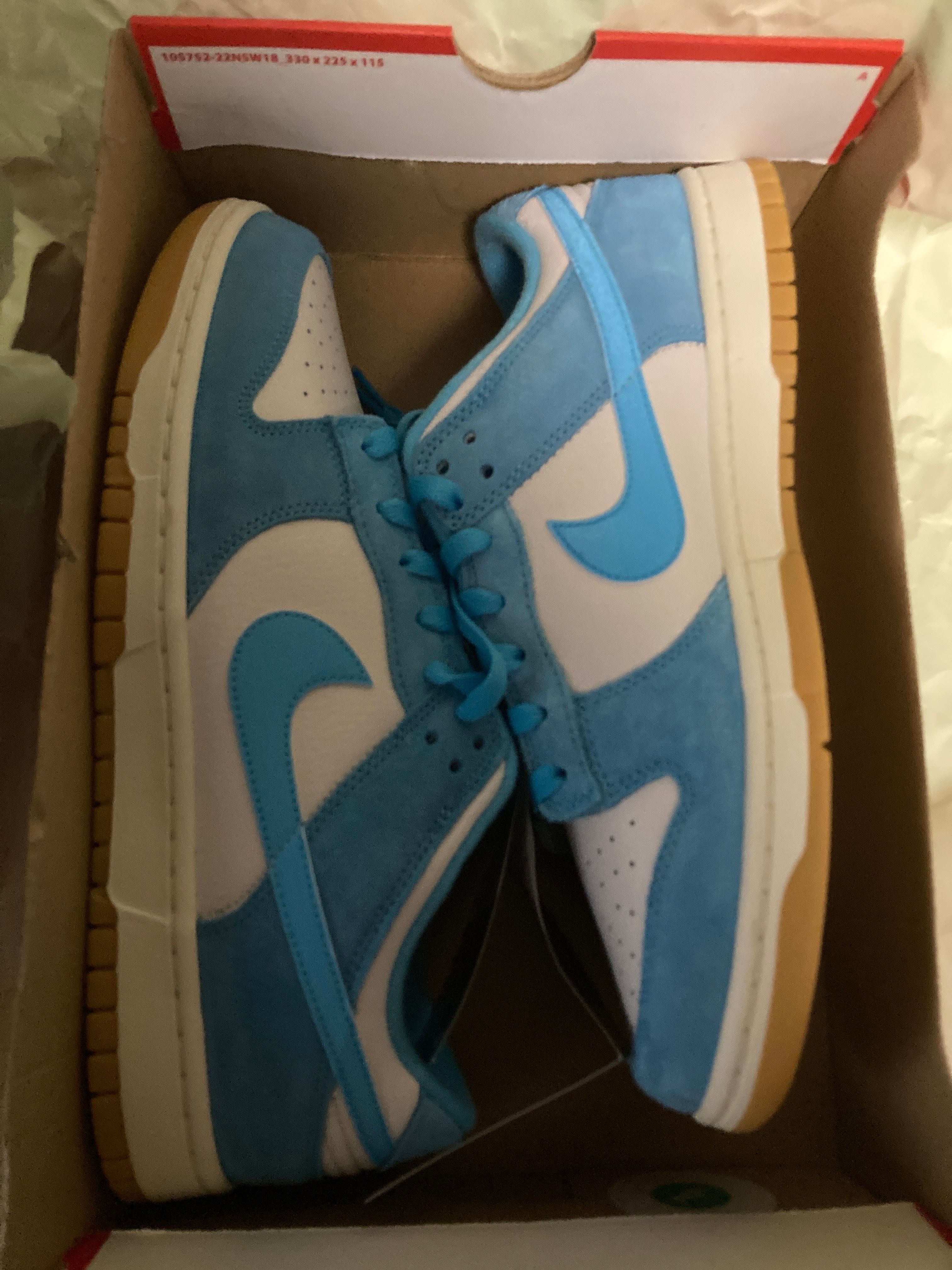 Nike Dunk Low "Baltic Blue"