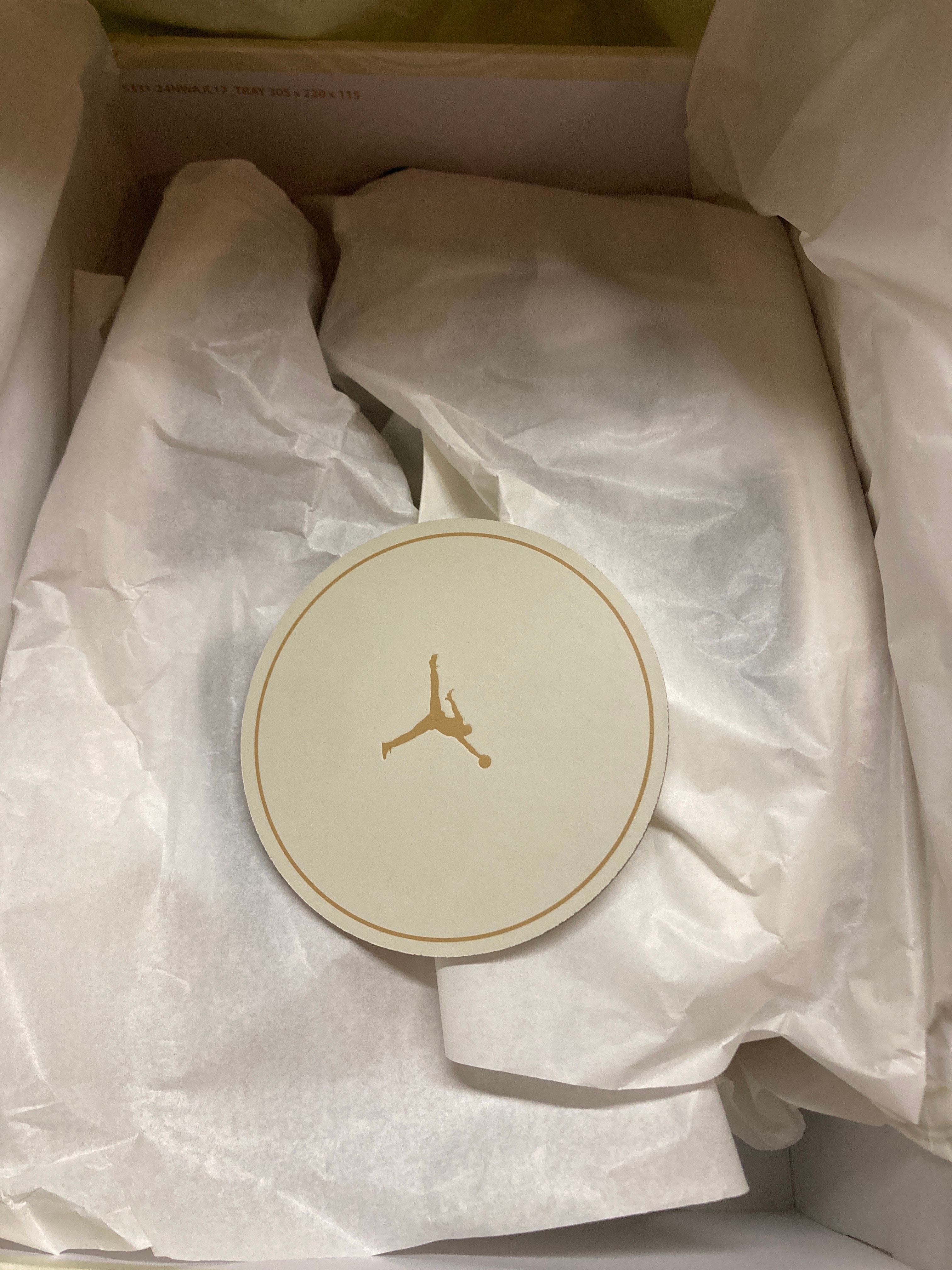 Nike Women's Air Jordan 1 Retro High OG "Latte"