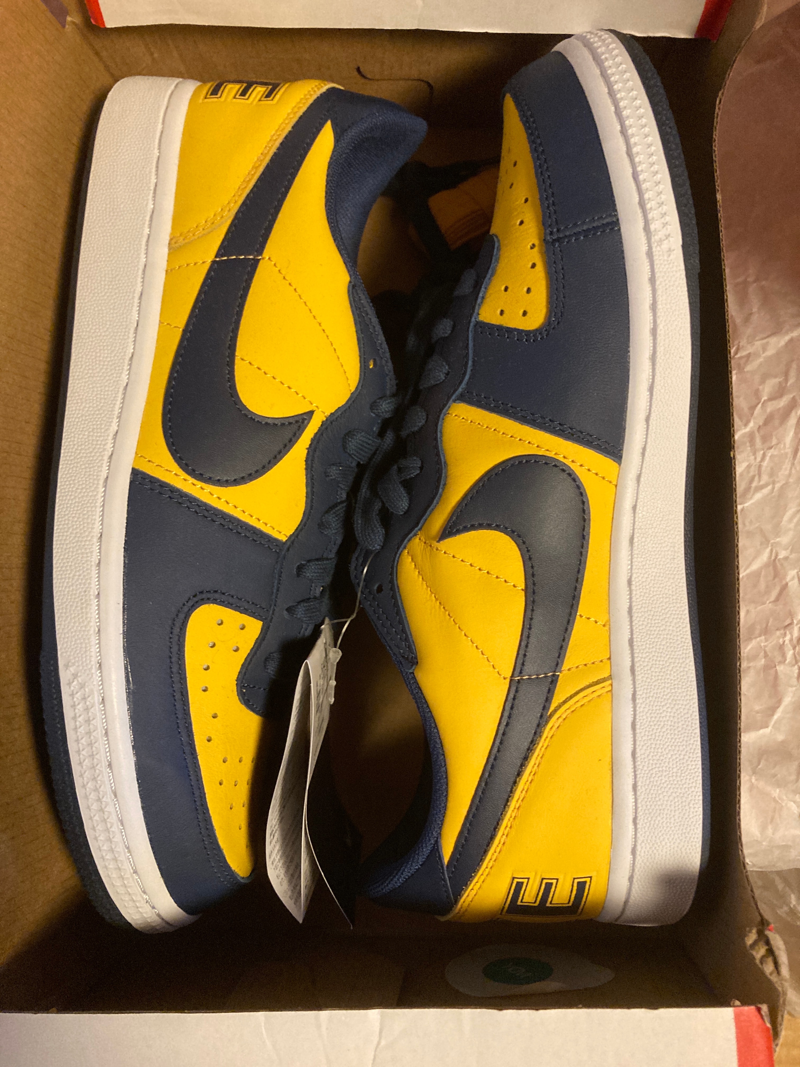 Nike Terminator Low "University Gold and Navy/Michigan"