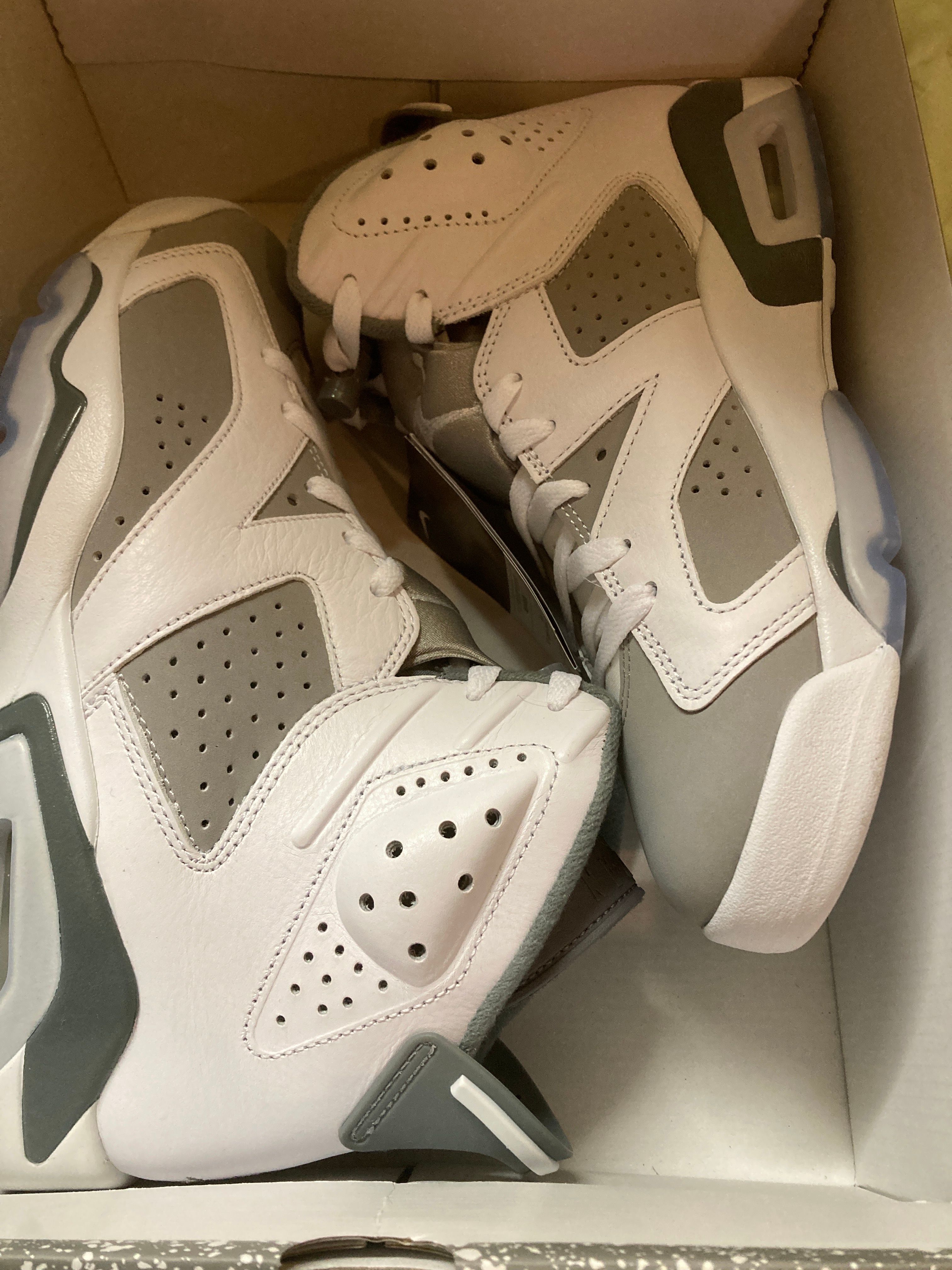 Nike Air Jordan 6 "Cool Grey"