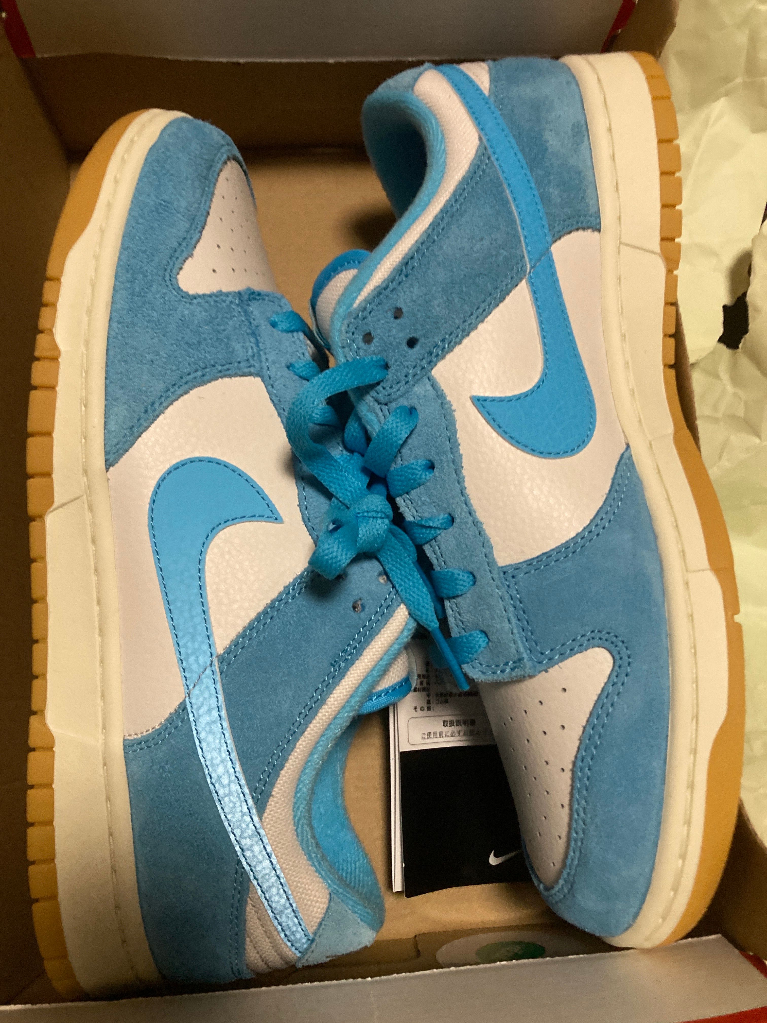 Nike Dunk Low "Baltic Blue"