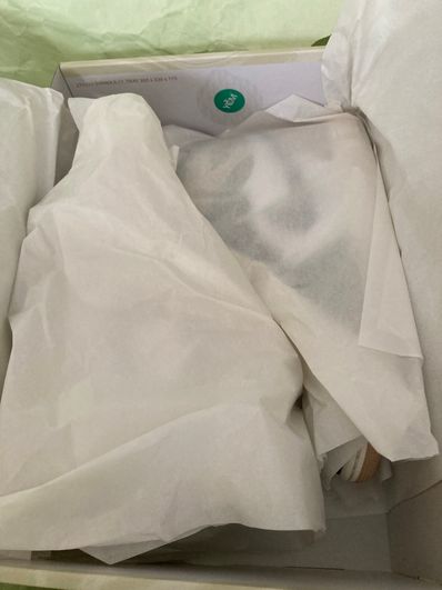 Nike Women's Air Jordan 1 Retro High OG "Latte"