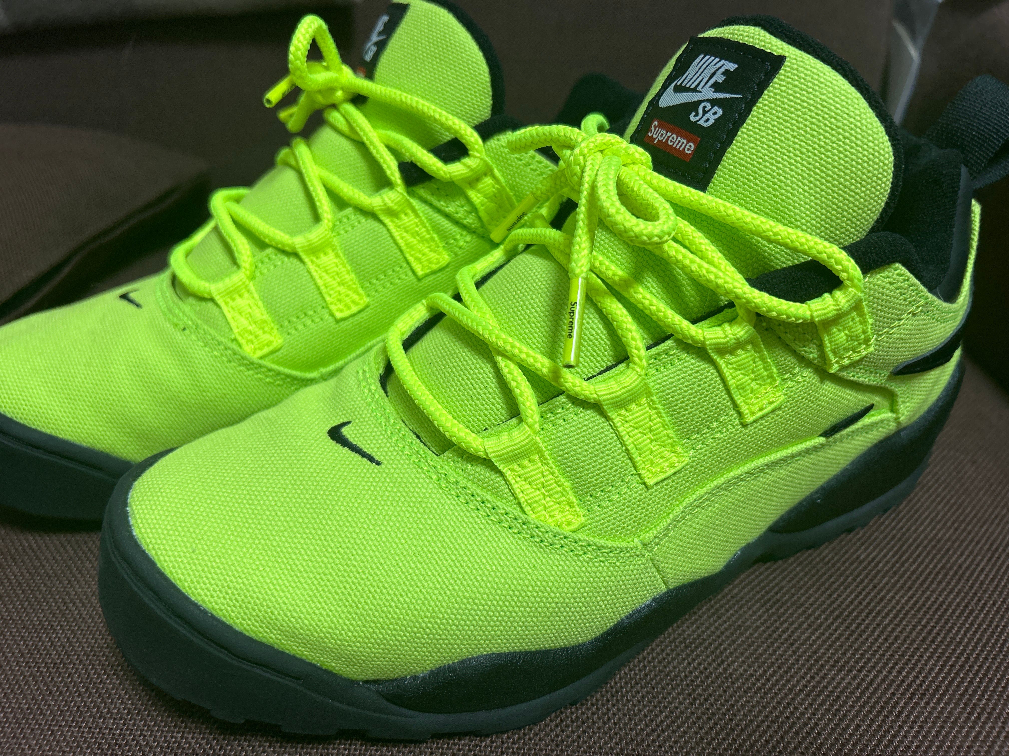 Supreme × Nike SB Darwin Low "Green"