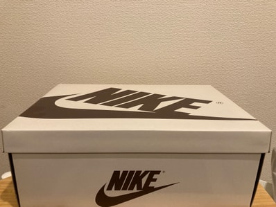 Travis Scott × Nike Air Jordan 1 Low OG SP "Velvet Brown and Dark Mocha"