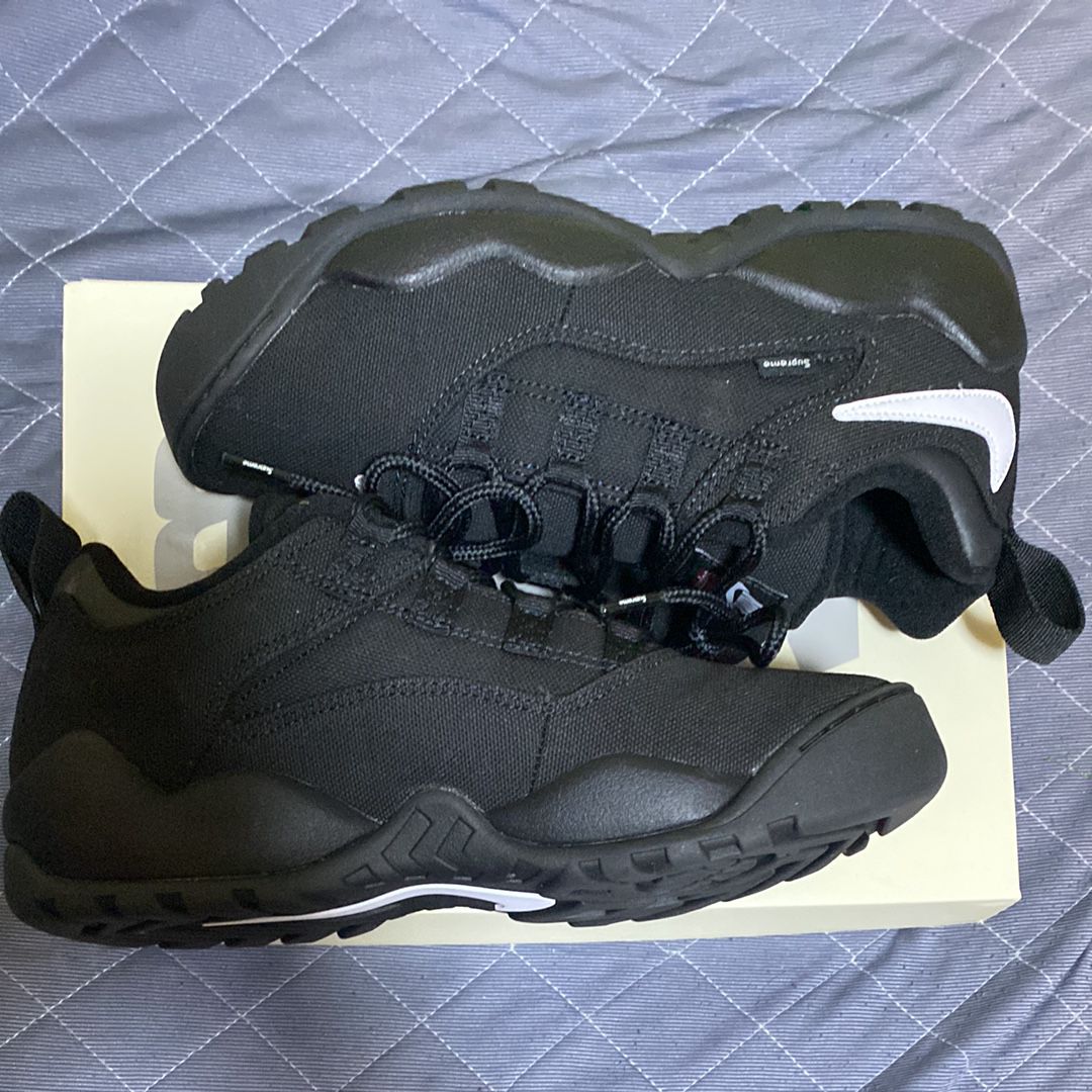 Supreme × Nike SB Darwin Low "Black"