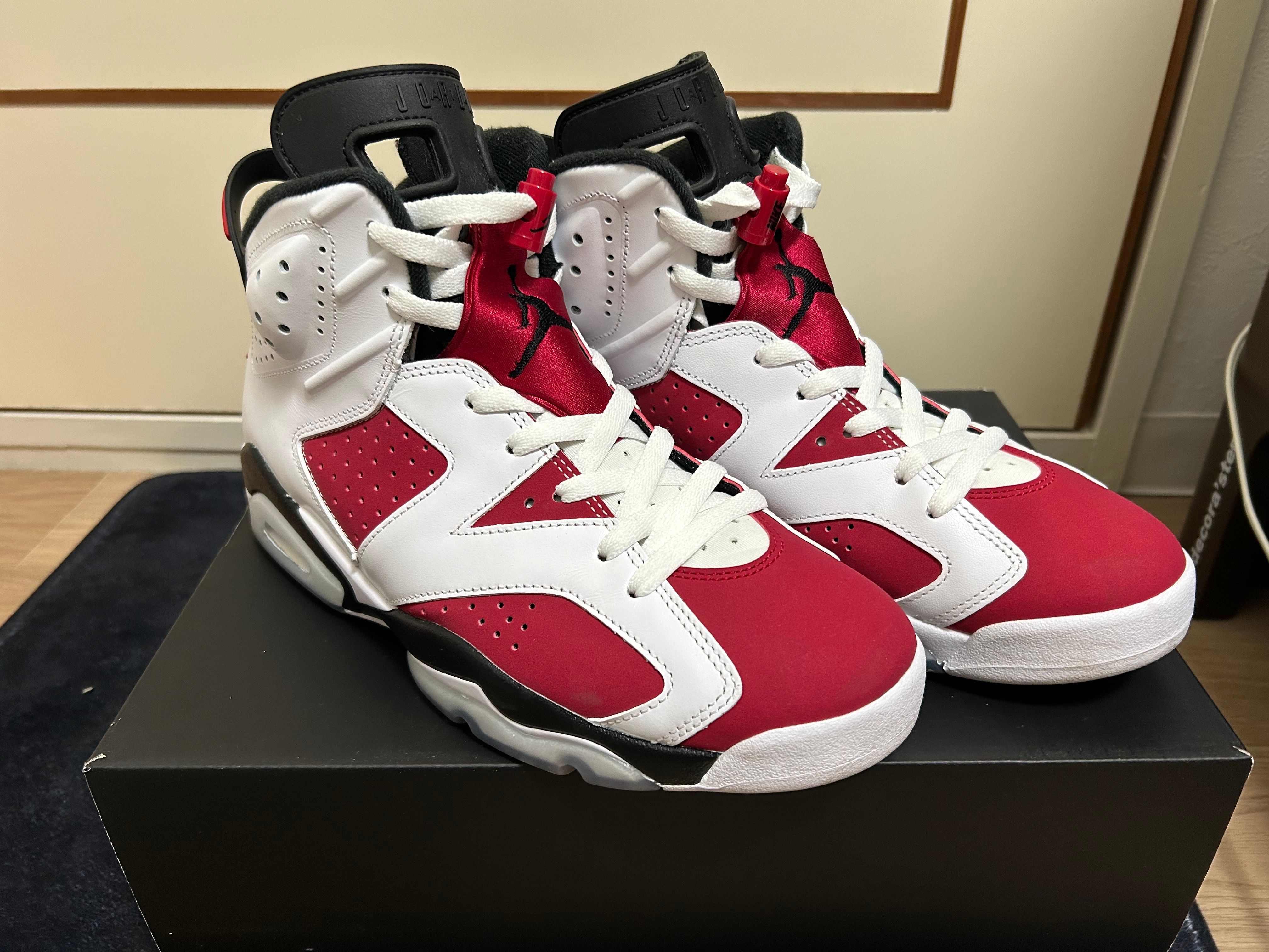 Nike Air Jordan 6 "Carmine" (2021)