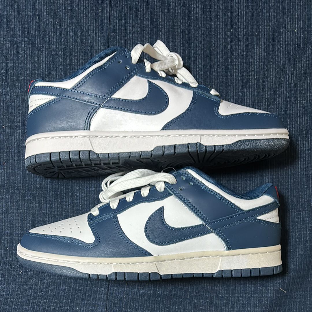 Nike Dunk Low "Valerian Blue"