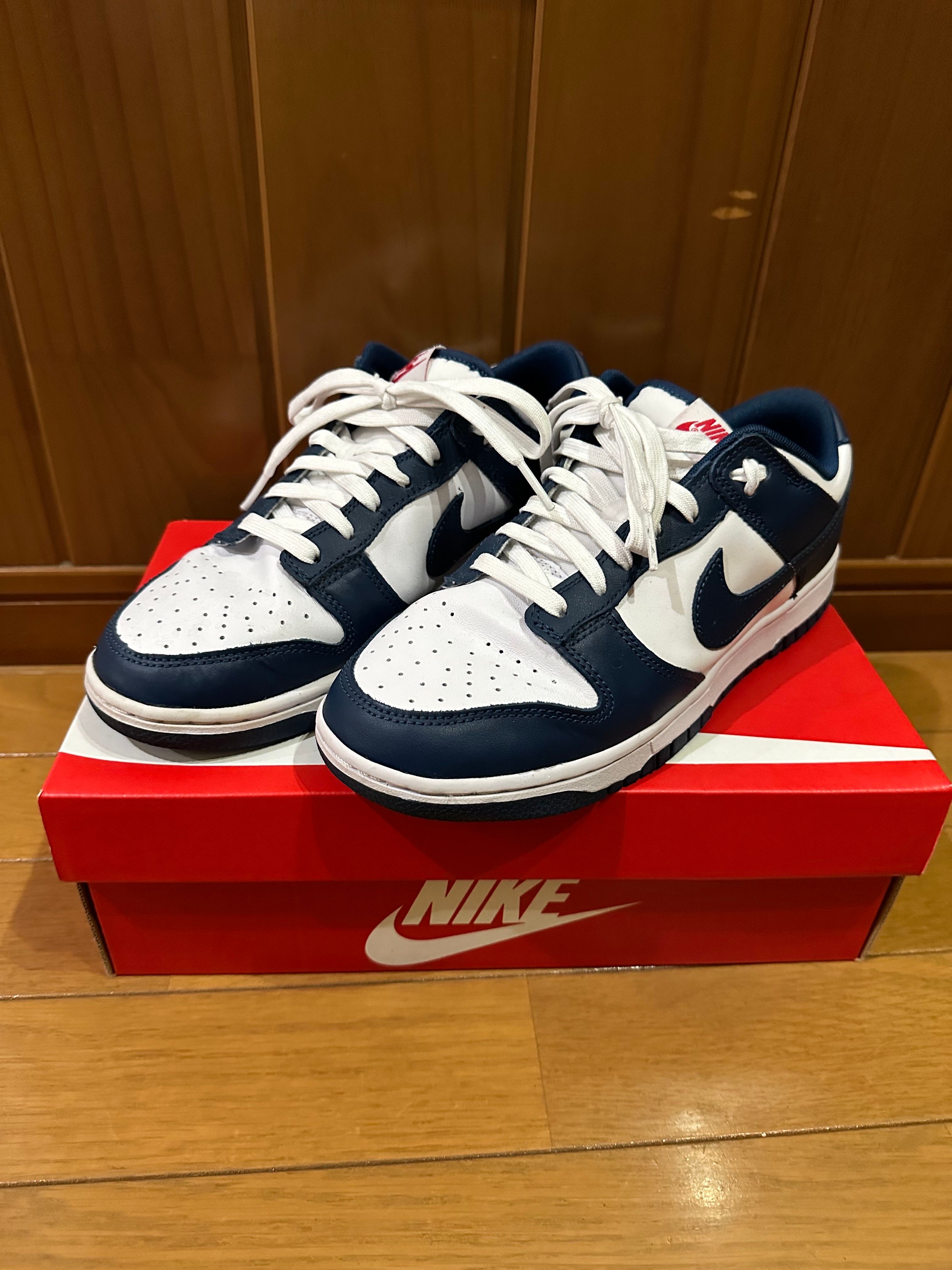 Nike Dunk Low "Valerian Blue"