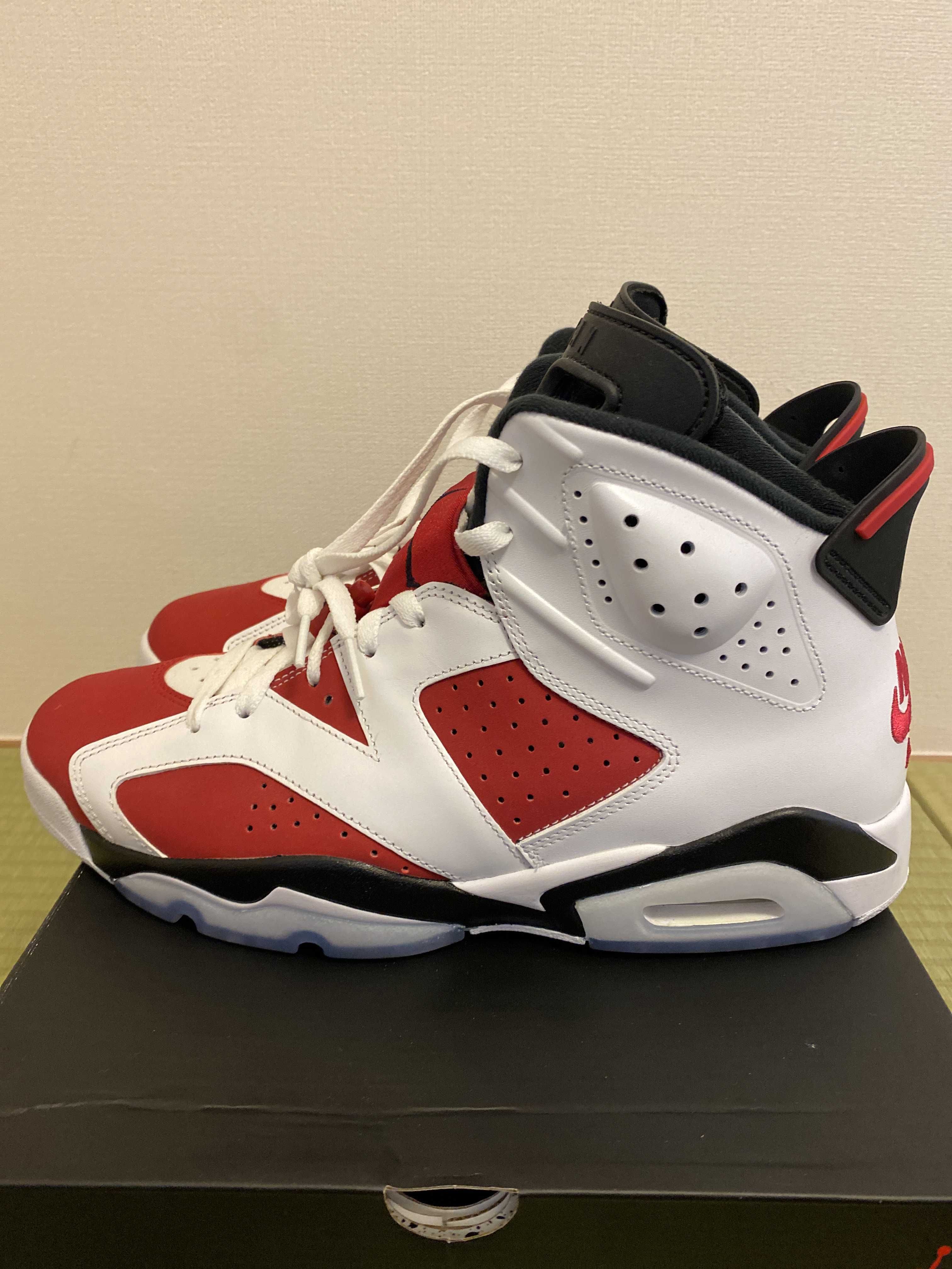 Nike Air Jordan 6 "Carmine" (2021)