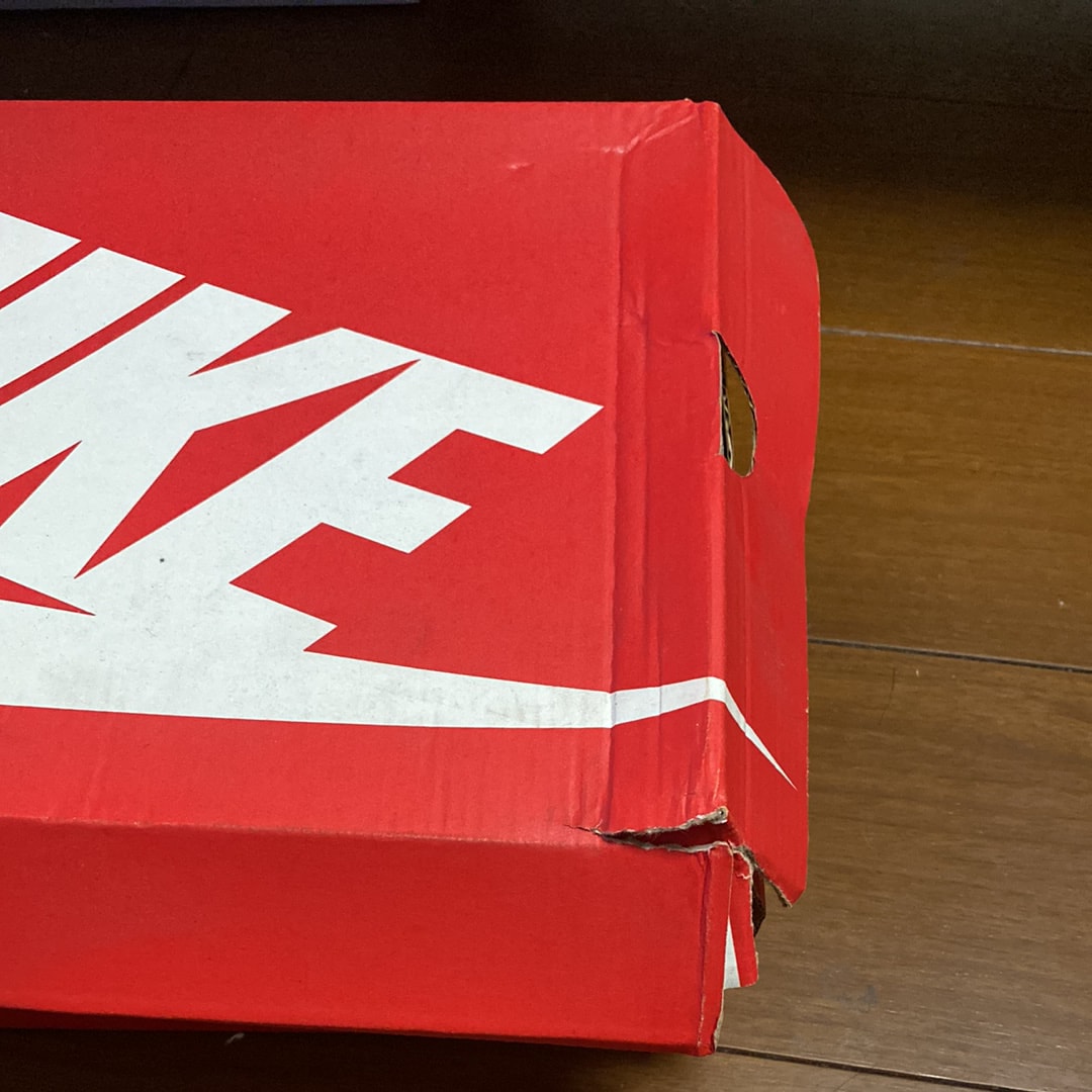 Nike Air Max 95 "Desert"