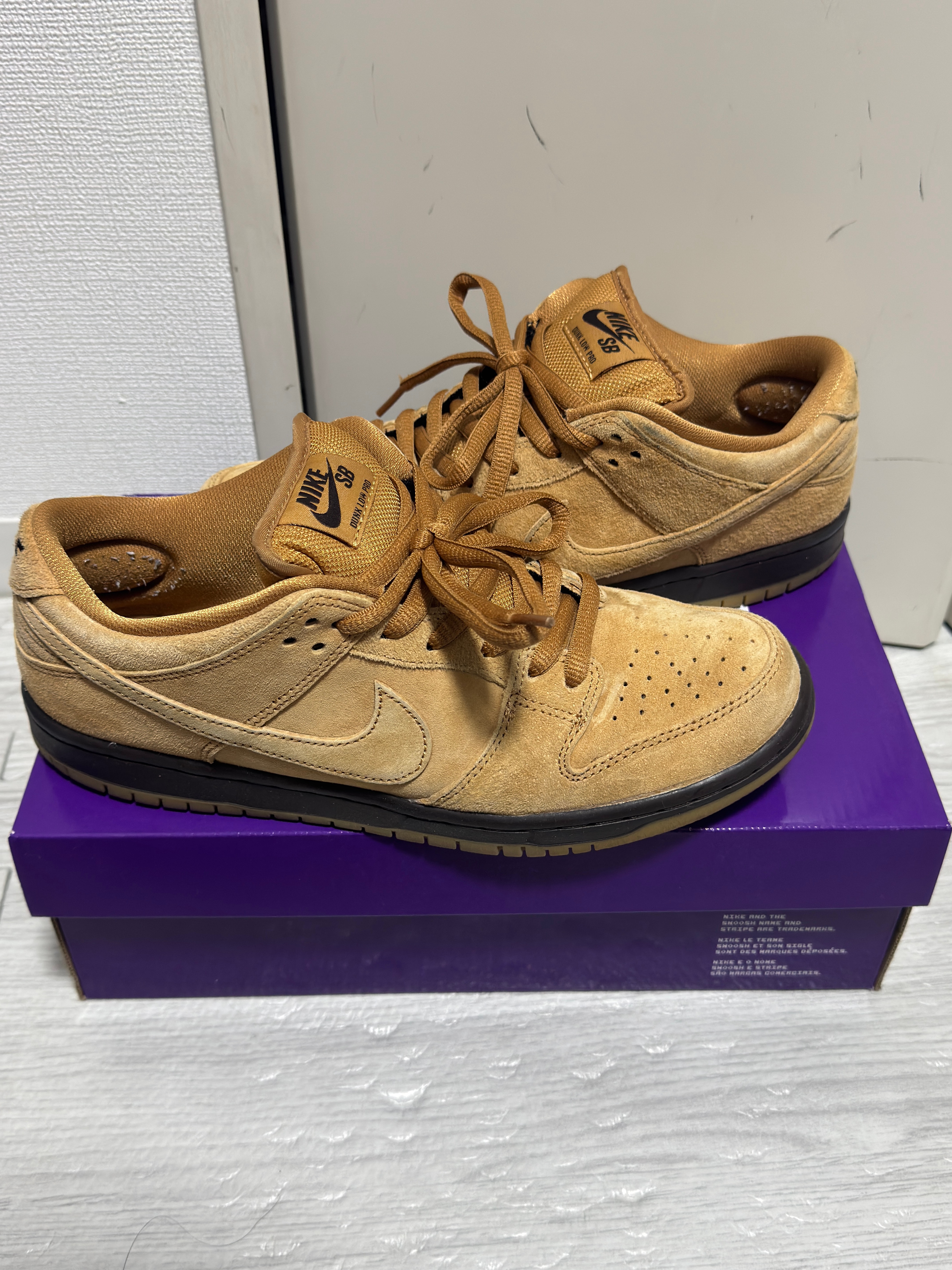 Nike SB Dunk Low Pro 