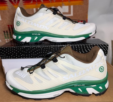 Salomon XT-4 "Hidden NY White"