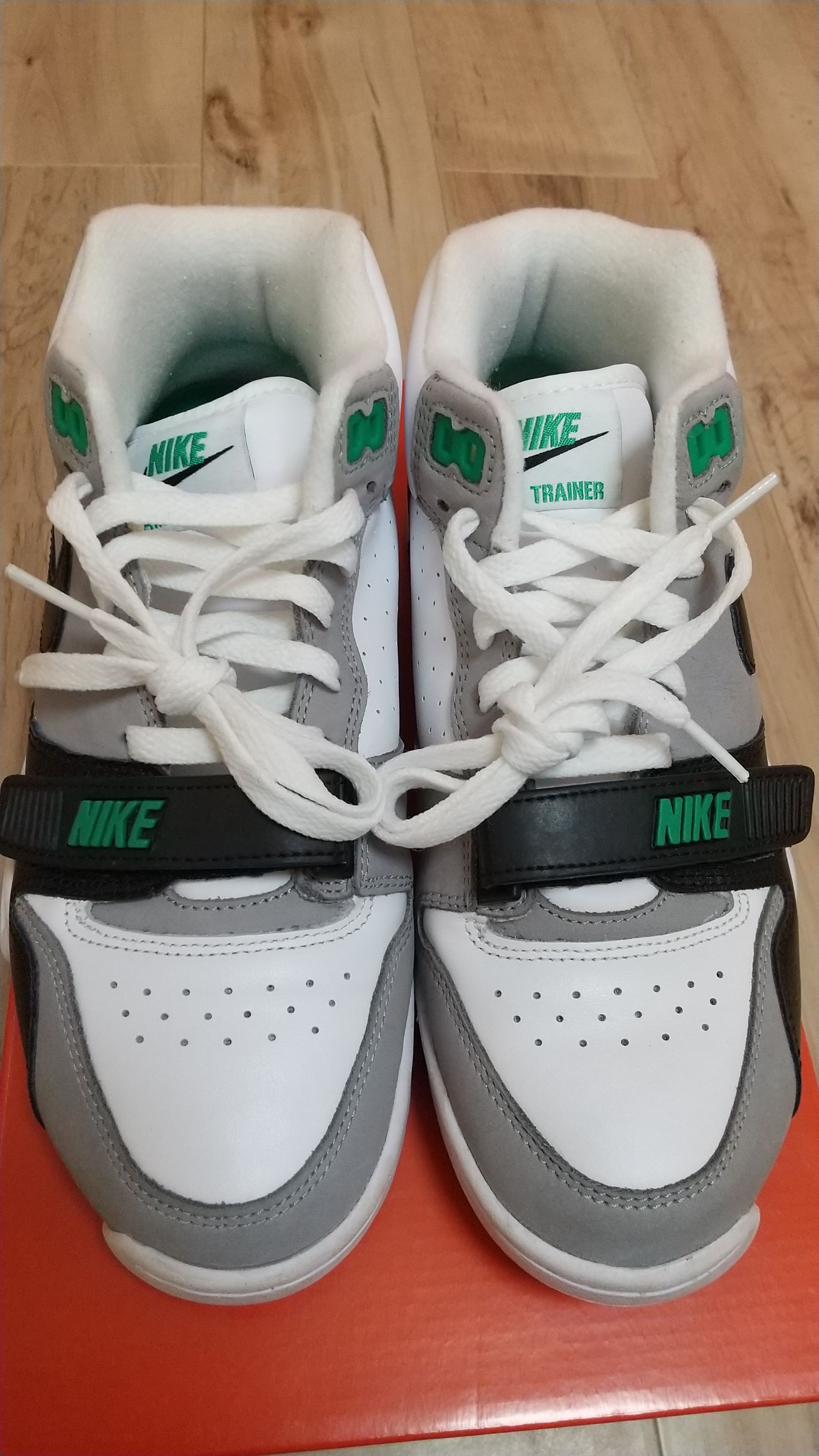 Nike Air Trainer 1 "Chlorophyll"