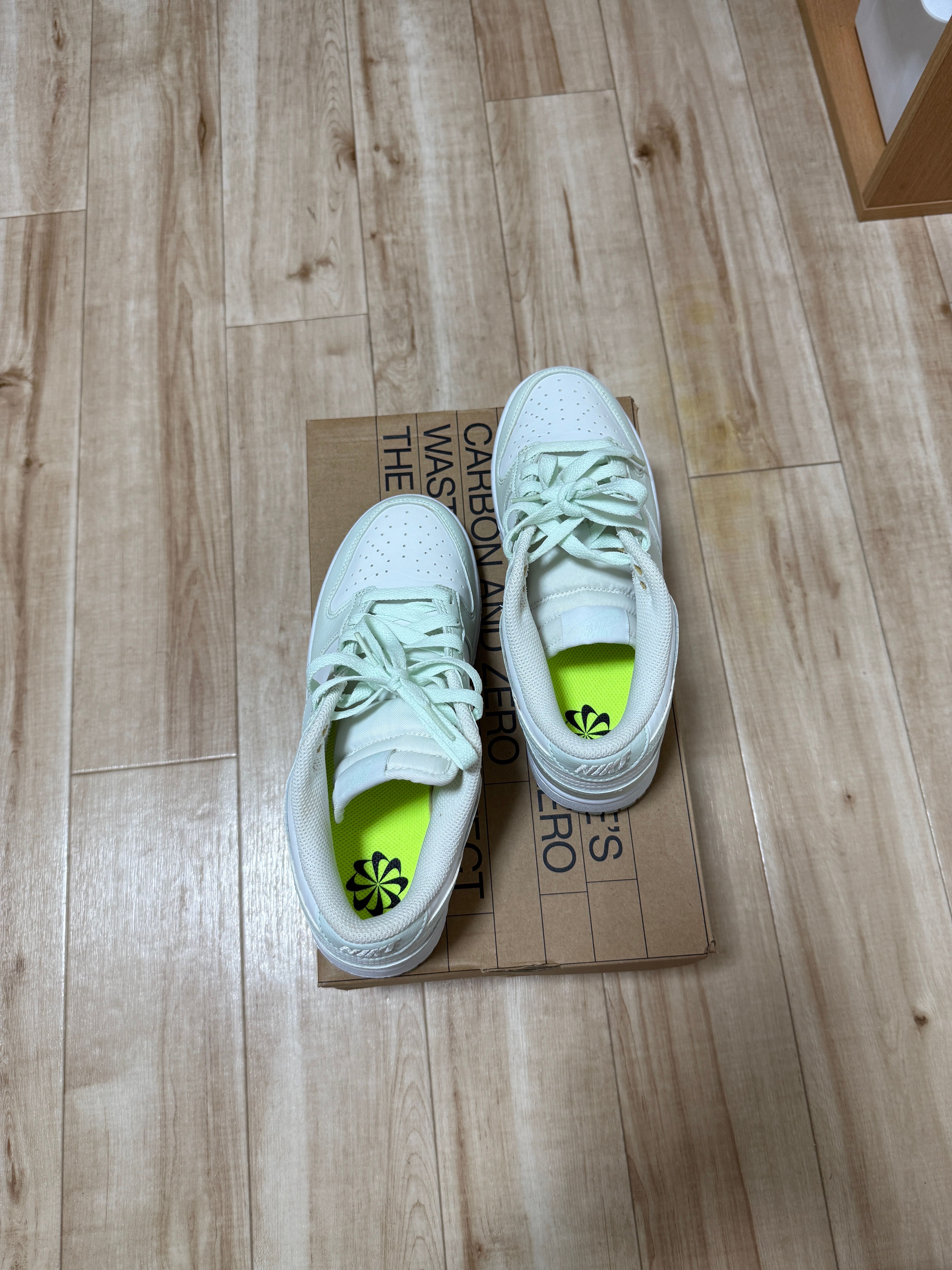 Nike Women's Dunk Low Next Nature "White/Mint"