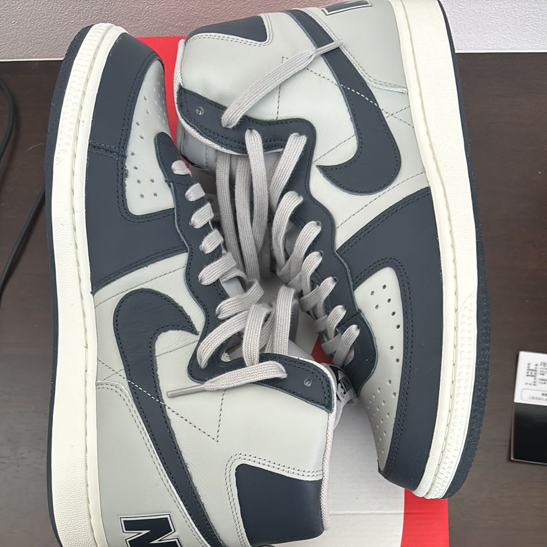 Nike Terminator High "Georgetown/Granite and Dark Obsidian"(2022)