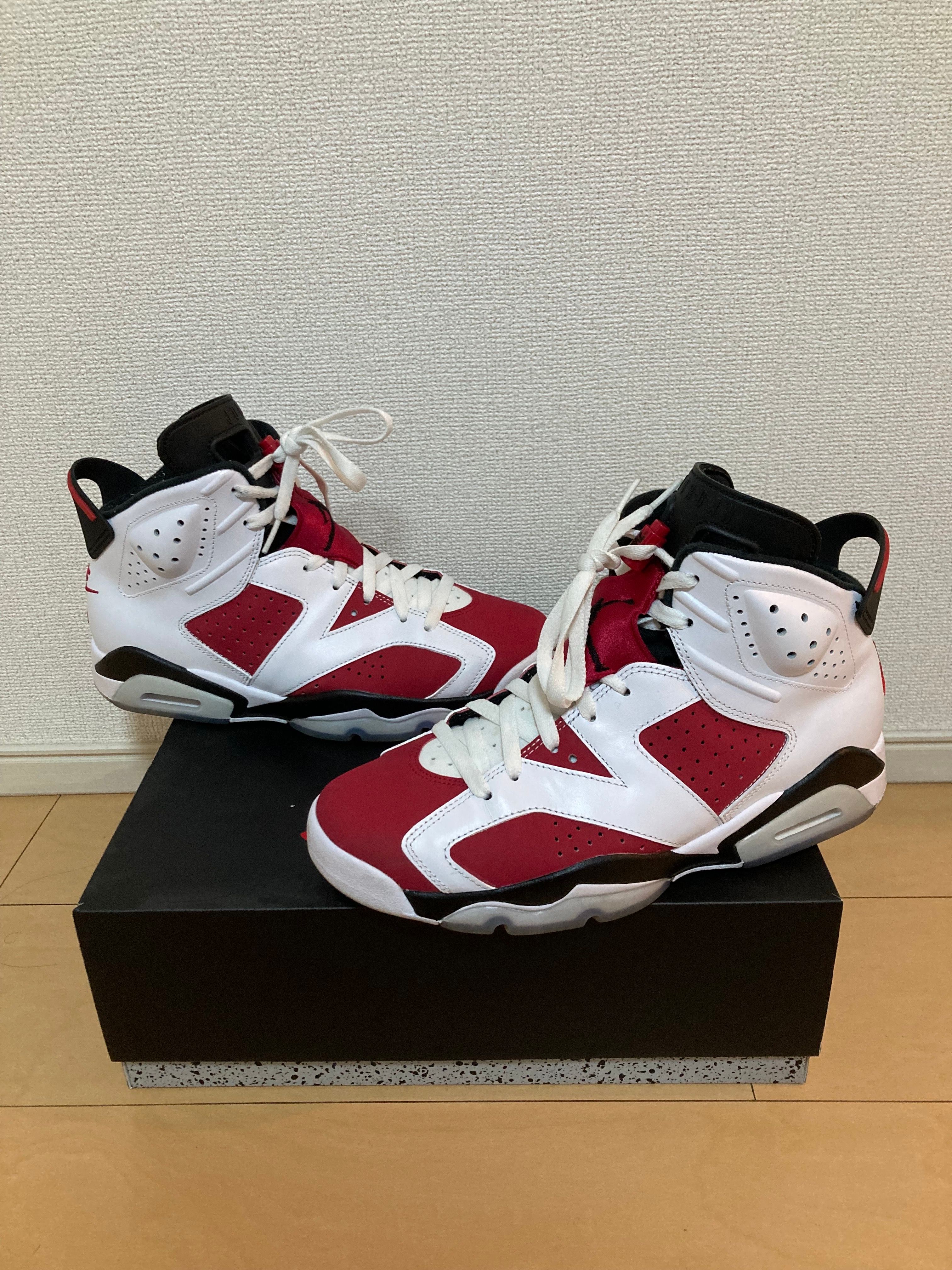 Nike Air Jordan 6 "Carmine" (2021)