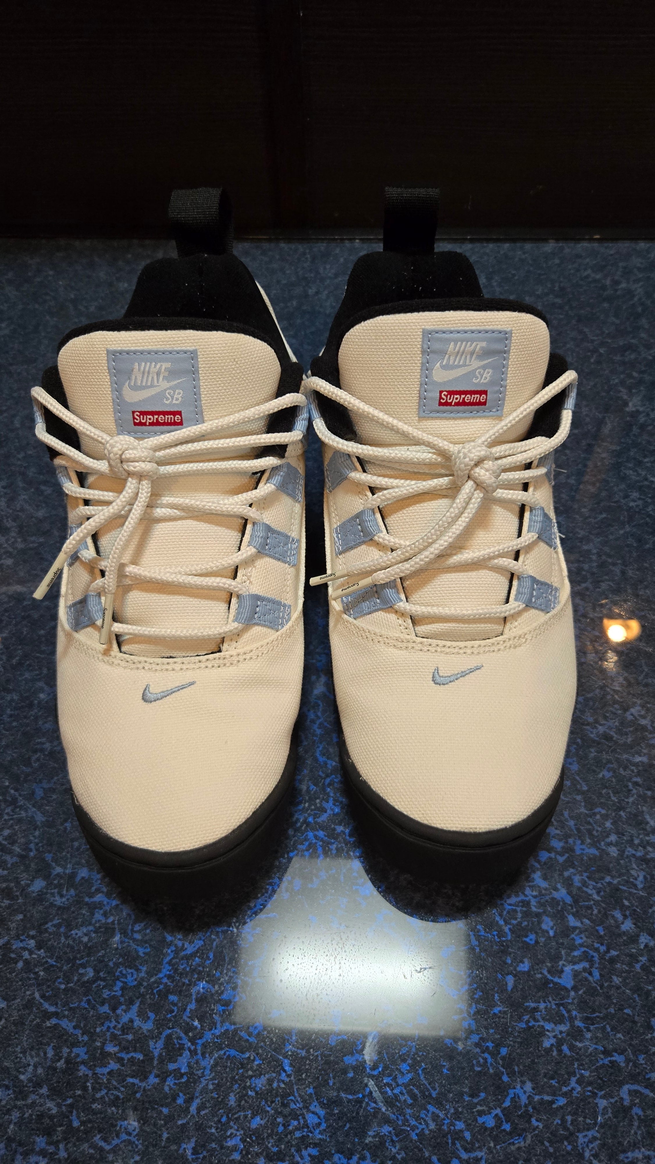 Supreme × Nike SB Darwin Low "White"