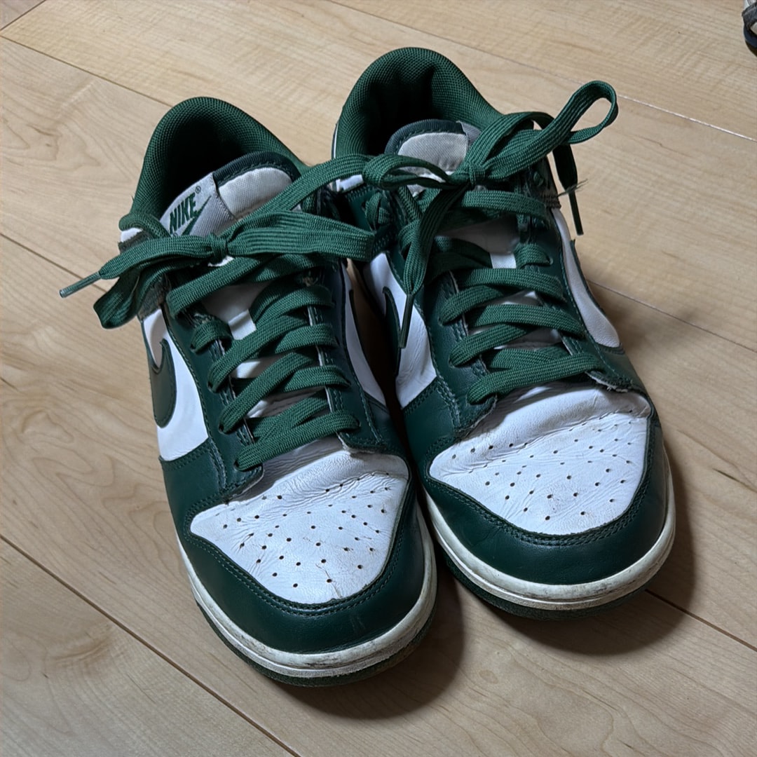 Nike Dunk Low Retro "Varsity Green/Team Green"