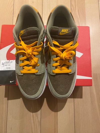 Nike Dunk Low SE "Dusty Olive"