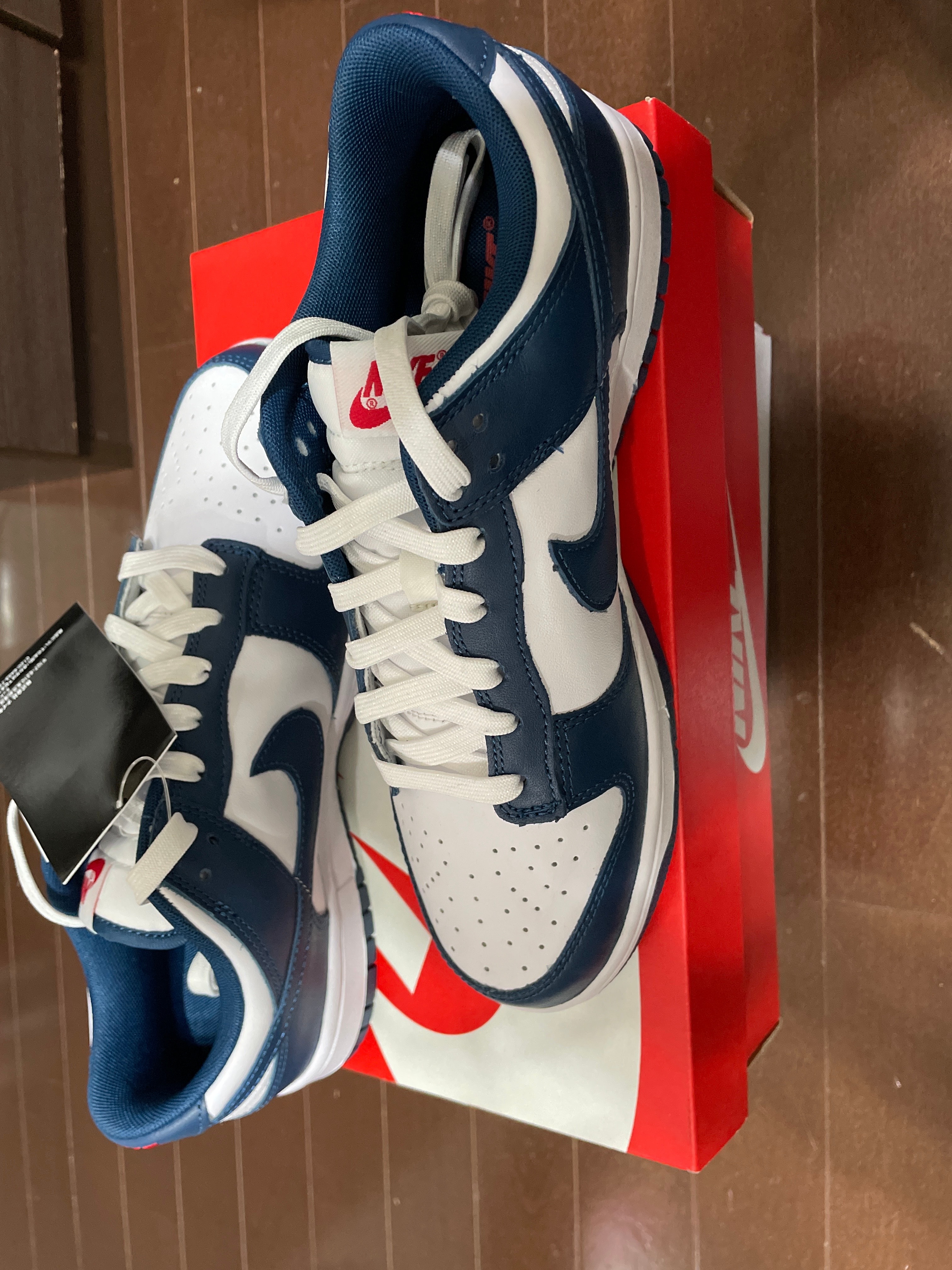 Nike Dunk Low "Valerian Blue"