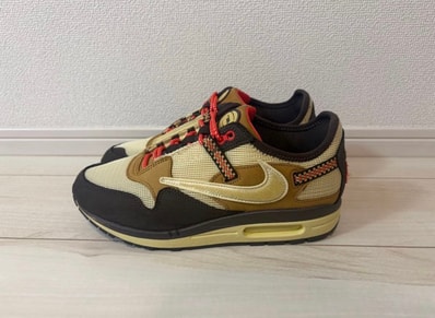 Travis Scott × Nike Air Max 1 "CACT.US Brown"