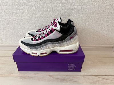 Nike SB Air Max 95 "Summit White/Cactus Flower"