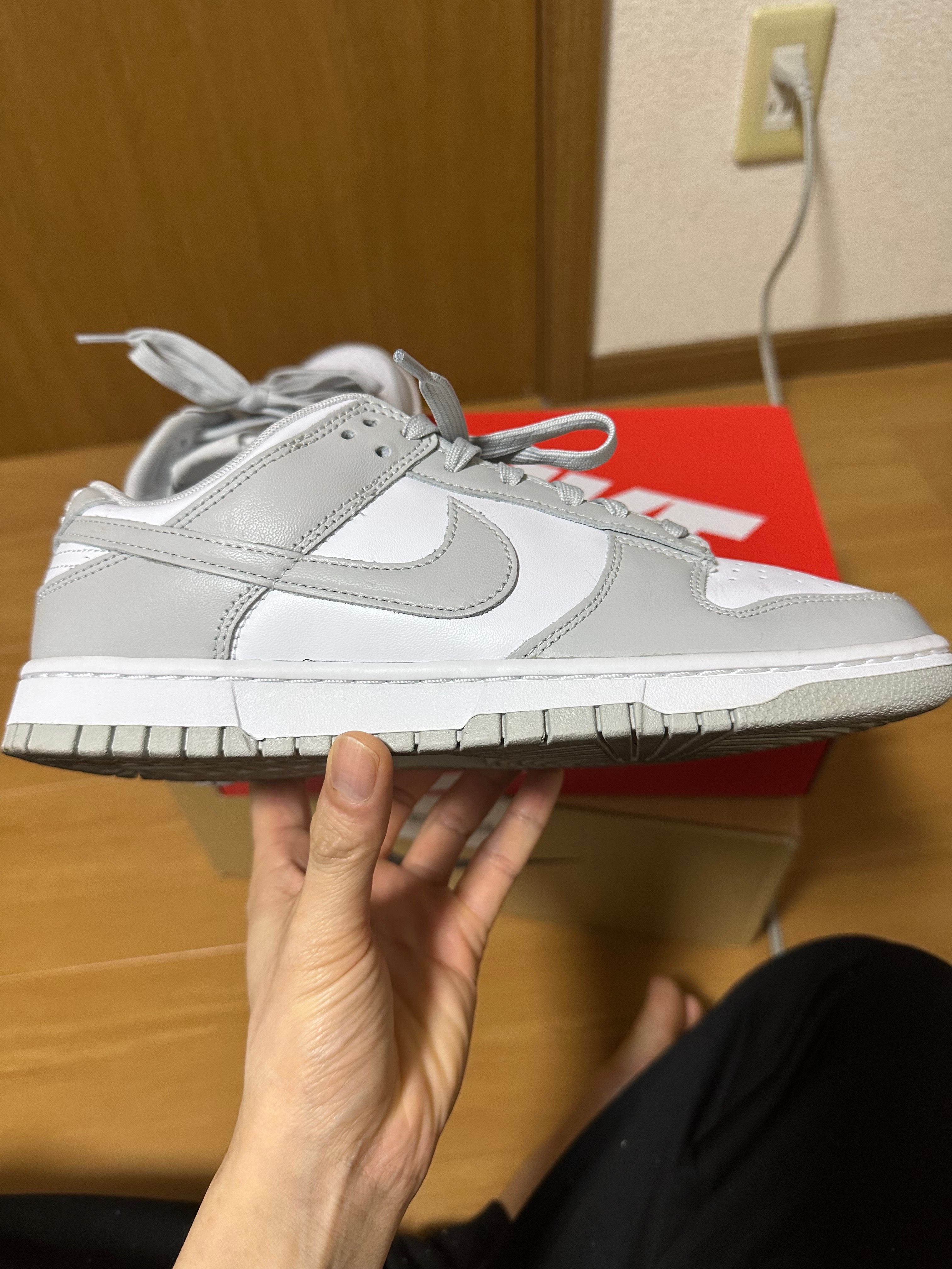 Nike Dunk Low "Grey Fog"