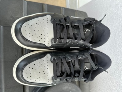 Nike Air Jordan 1 Low Golf "Shadow"