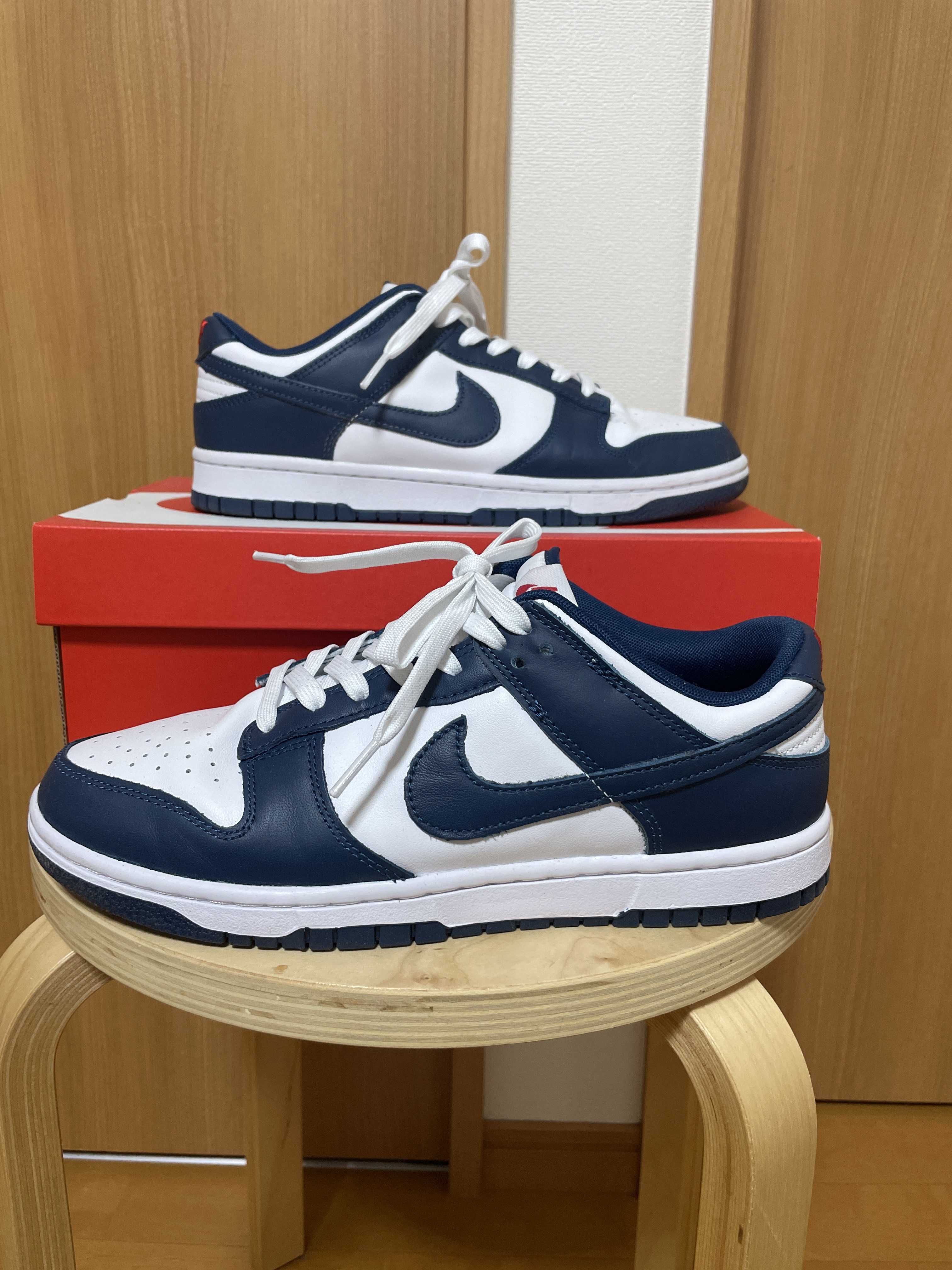 Nike Dunk Low "Valerian Blue"