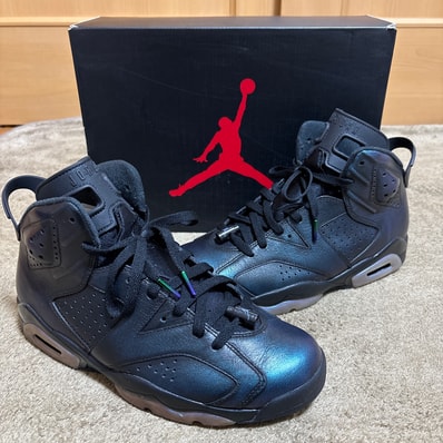 Nike Air Jordan 6 Retro All Star 2017 "Chameleon"