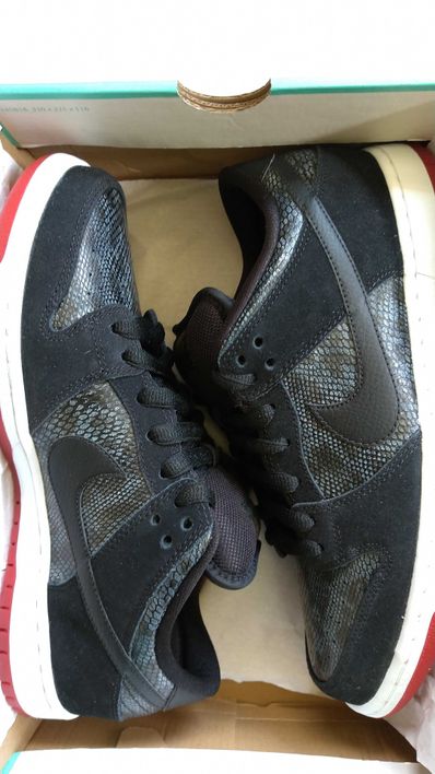 Nike SB Dunk Low "Snake Eyes"
