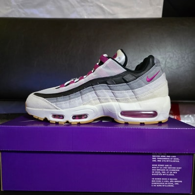 Nike SB Air Max 95 "Summit White/Cactus Flower"