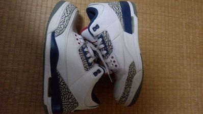 Nike Air Jordan 3 Retro "True Blue" (2016)