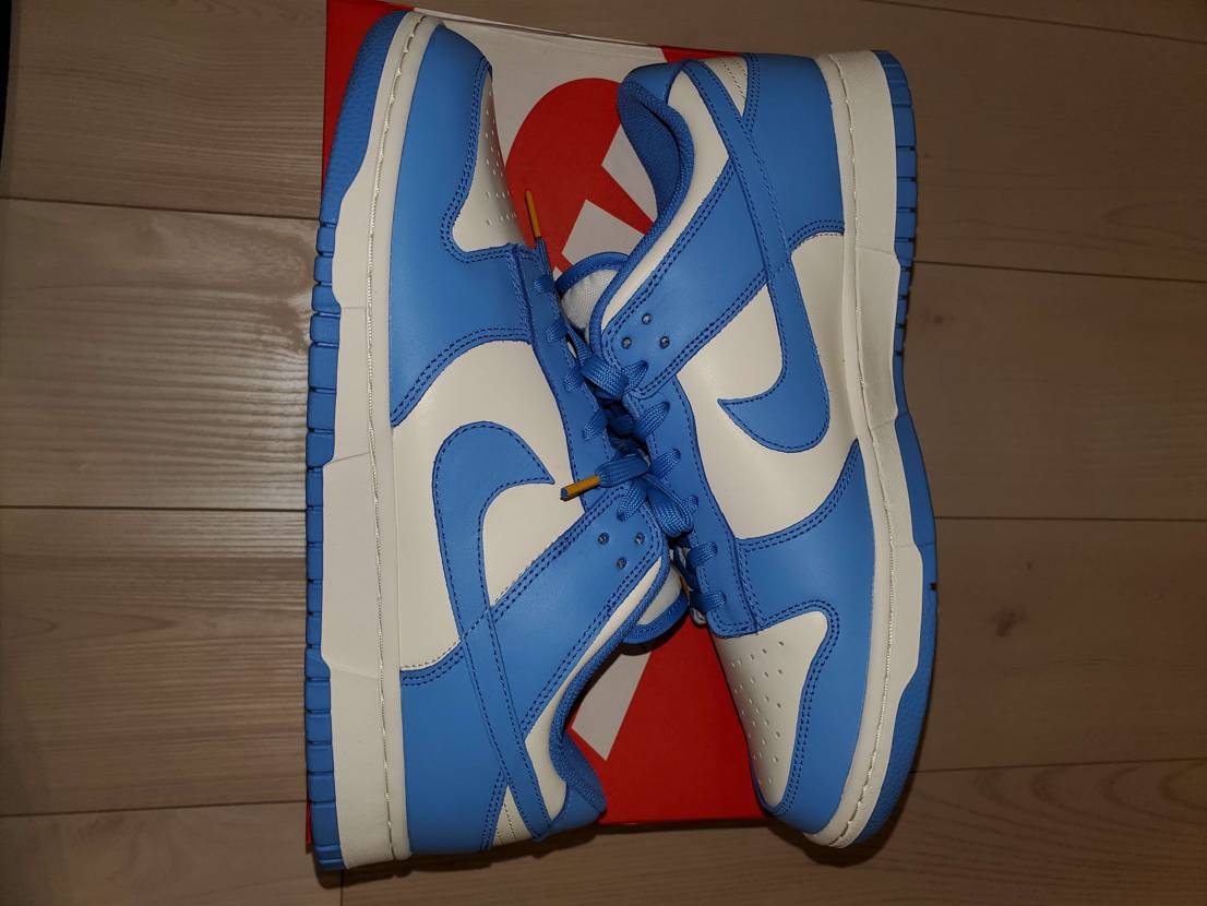 Nike Women's Dunk Low "Coast"