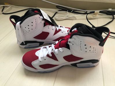 Nike Air Jordan 6 "Carmine" (2021)