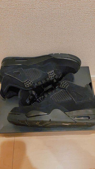 Nike Air Jordan 4 "Black Cat"