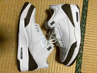 Nike Air Jordan 3 Retro "Mocha" (2018)
