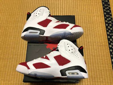 Nike Air Jordan 6 "Carmine" (2021)