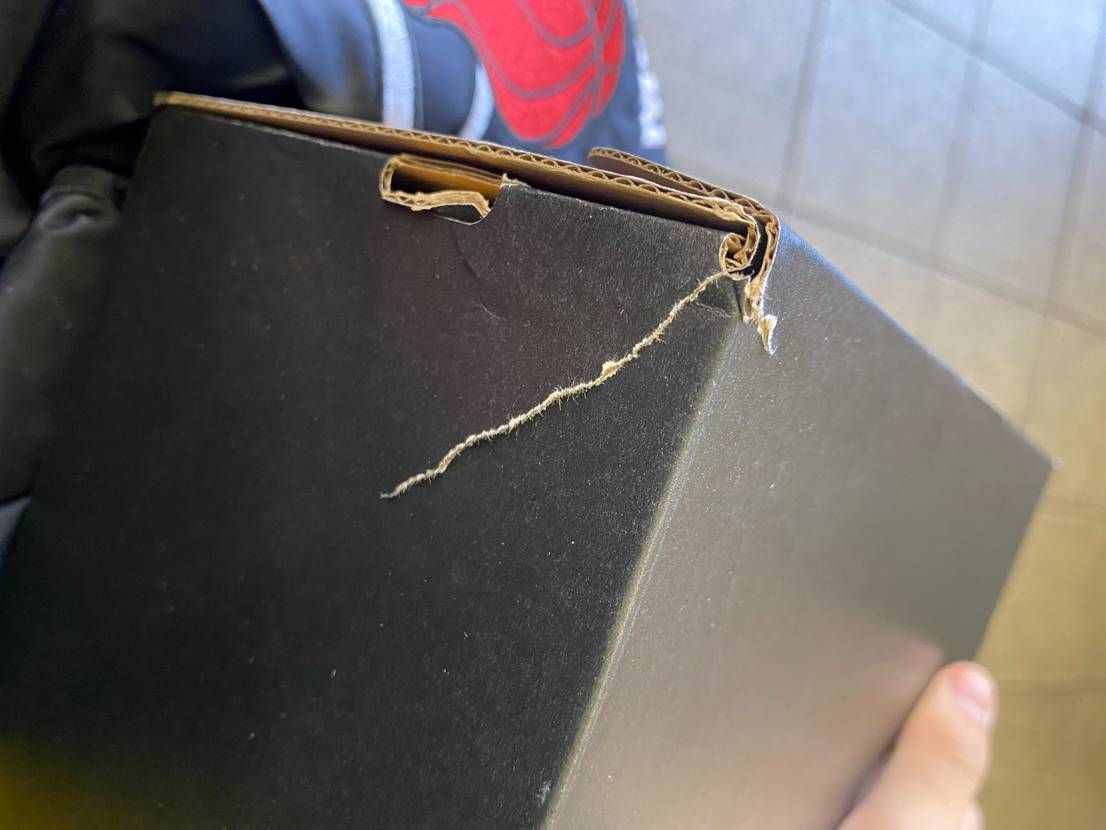 Nike Air Jordan 1 Mid SE "All-Star" (2021)