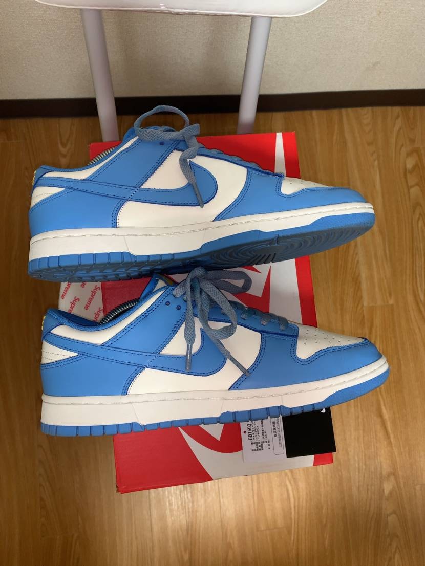 Nike Women's Dunk Low "Coast"