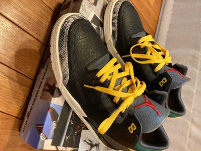 Nike Air Jordan 3 Retro SE "Animal Instinct 2.0/Safari"