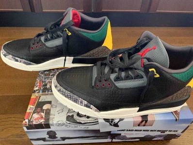 Nike Air Jordan 3 Retro SE "Animal Instinct 2.0/Safari"