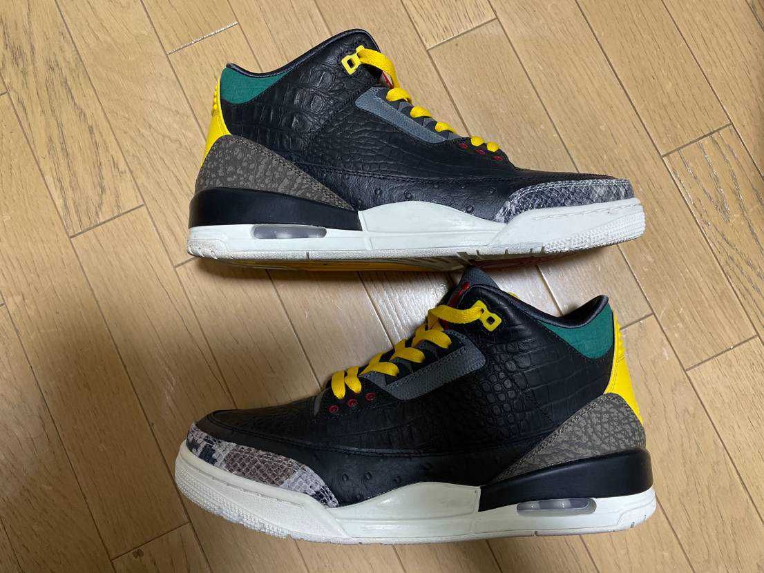 Nike Air Jordan 3 Retro SE "Animal Instinct 2.0/Safari"