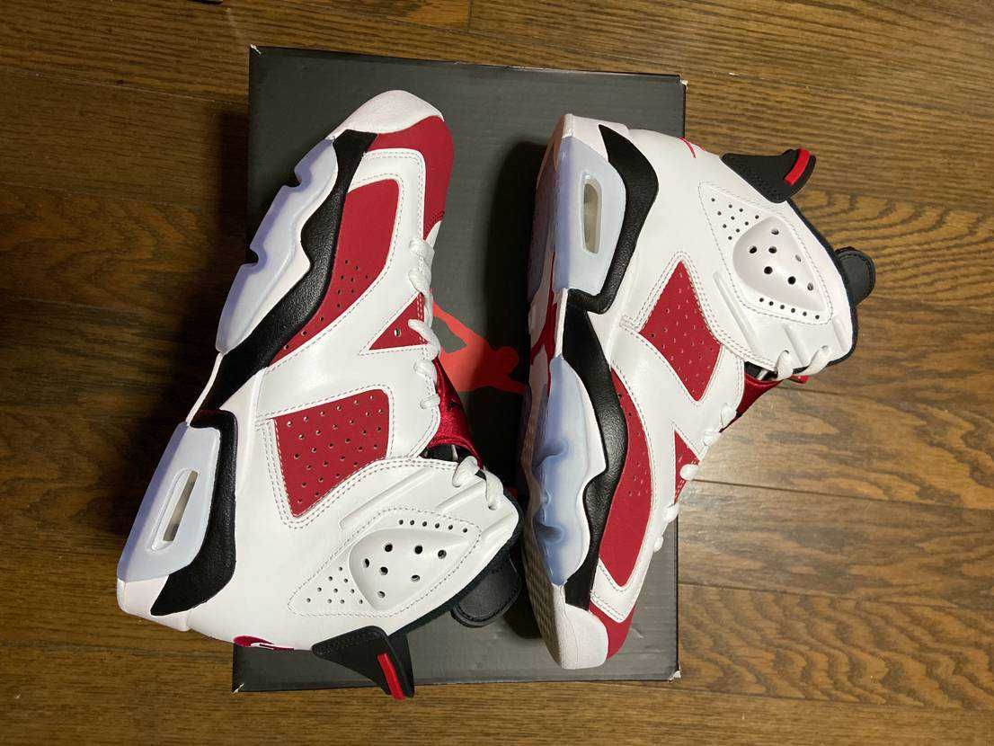 Nike Air Jordan 6 "Carmine" (2021)