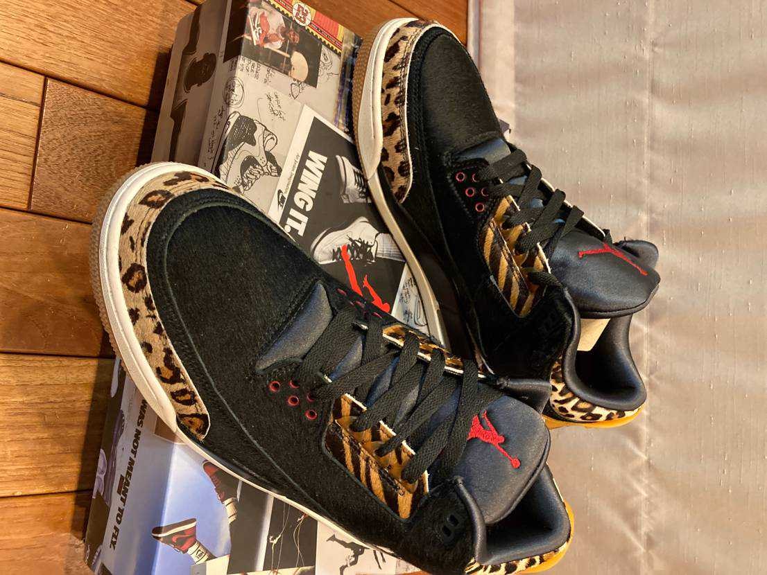 Nike Air Jordan 3 Retro SE "Animal Instinct/Safari"