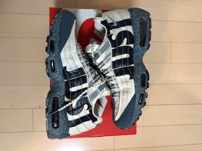 Nike Air Max 95 "Just Do It Mt. Fuji"