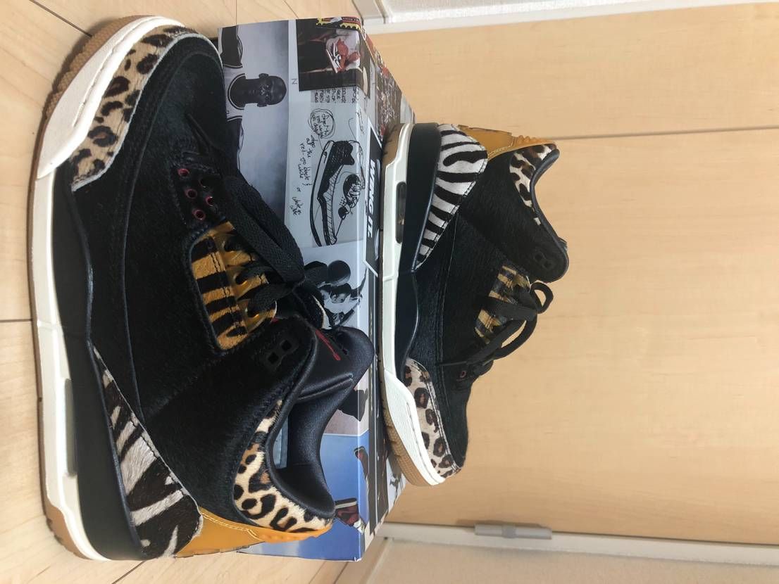 Nike Air Jordan 3 Retro SE "Animal Instinct/Safari"